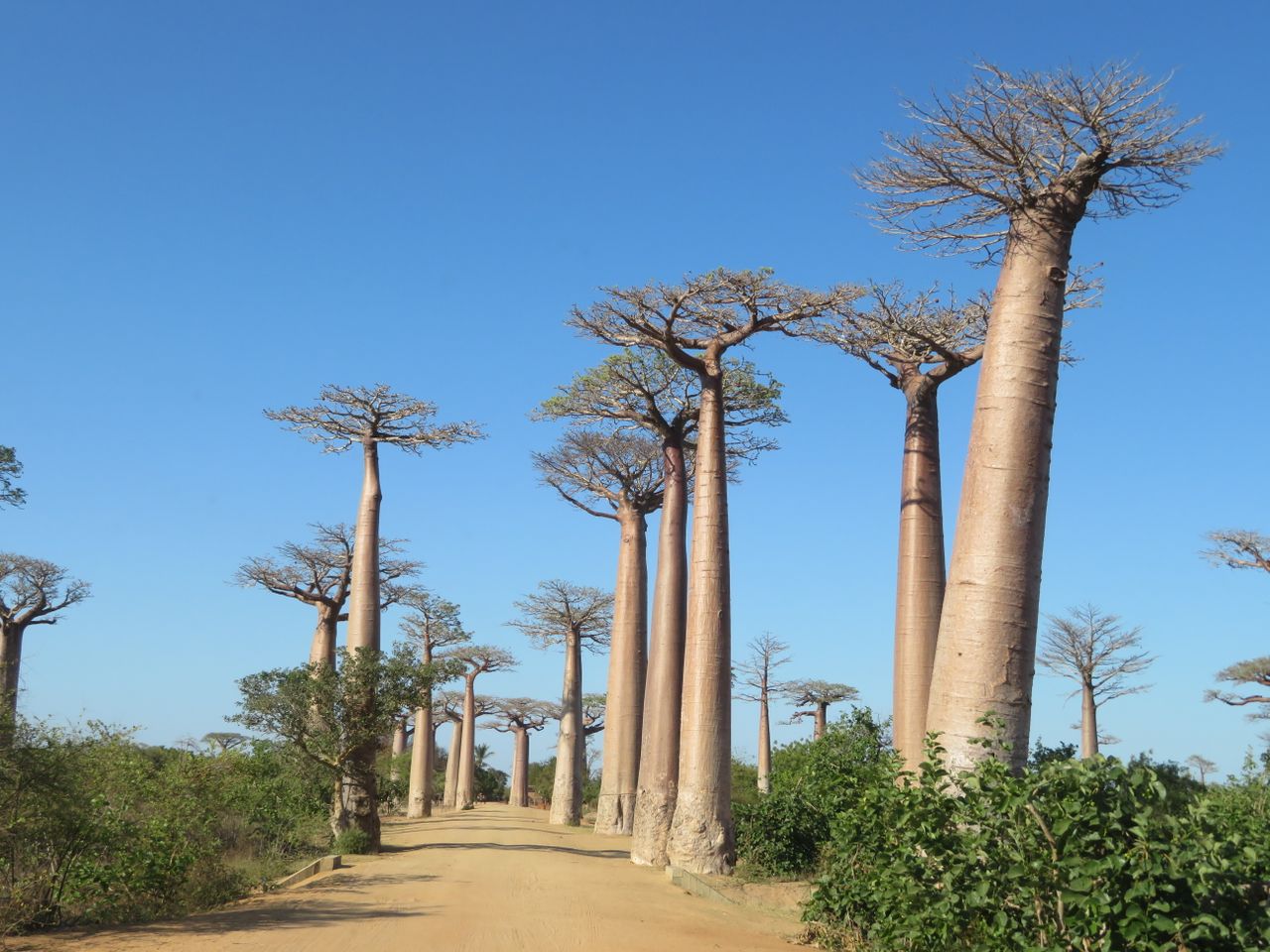 Madagascar avec Voyage Prive