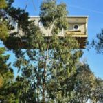 La Pascalinette, le grand camping d’Hyères avec piscine et arbres centenaires